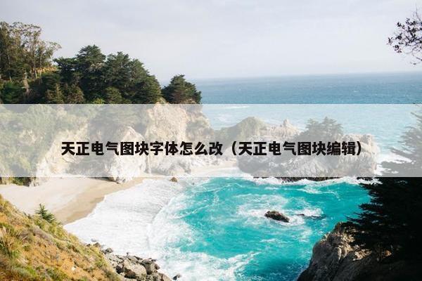 天正电气图块字体怎么改（天正电气图块编辑）