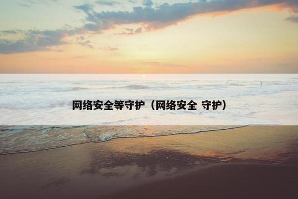 网络安全等守护（网络安全 守护）