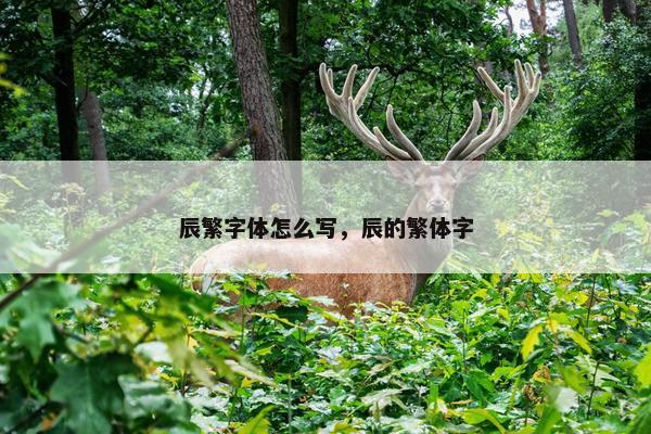 辰繁字体怎么写，辰的繁体字
