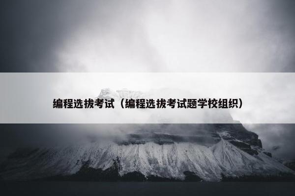 编程选拔考试（编程选拔考试题学校组织）
