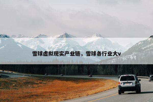 雪球虚拟现实产业链，雪球各行业大v