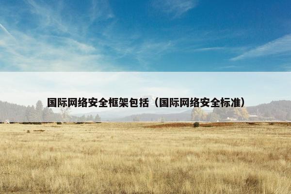 国际网络安全框架包括（国际网络安全标准）