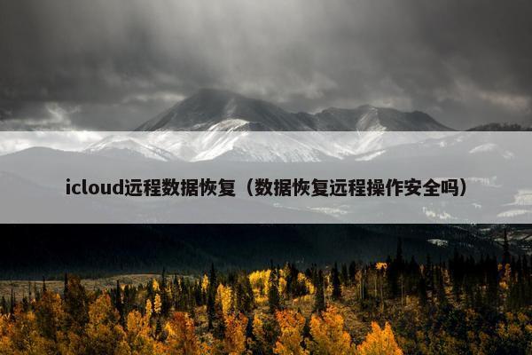 icloud远程数据恢复（数据恢复远程操作安全吗）