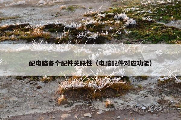 配电脑各个配件关联性（电脑配件对应功能）