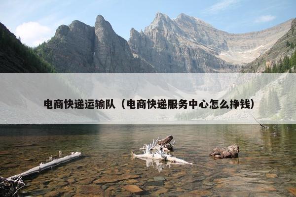 电商快递运输队（电商快递服务中心怎么挣钱）