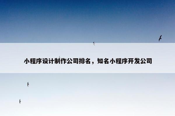 小程序设计制作公司排名，知名小程序开发公司