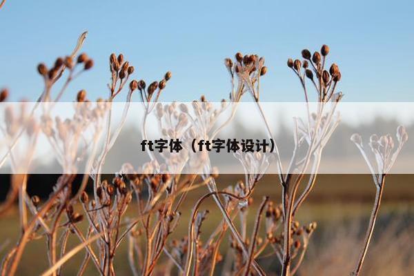 ft字体（ft字体设计）