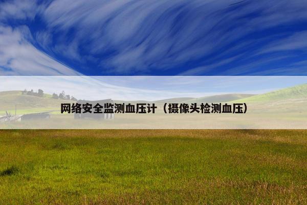网络安全监测血压计（摄像头检测血压）
