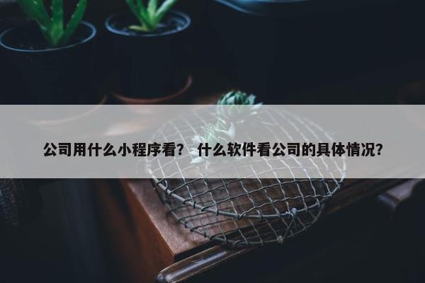 公司用什么小程序看？ 什么软件看公司的具体情况？