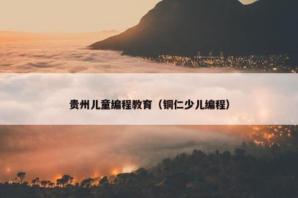 贵州儿童编程教育（铜仁少儿编程）