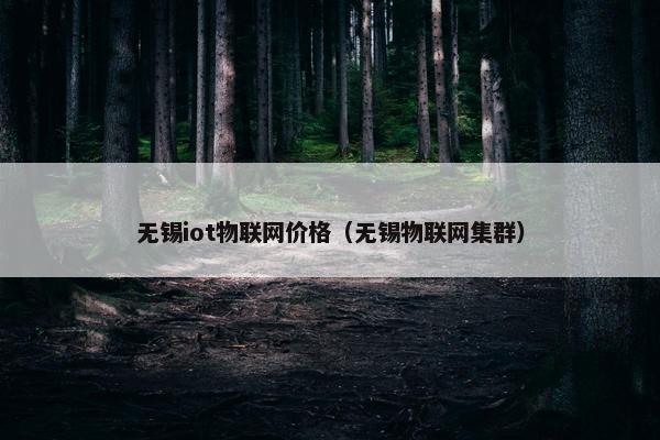 无锡iot物联网价格（无锡物联网集群）