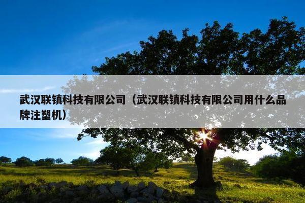 武汉联镇科技有限公司（武汉联镇科技有限公司用什么品牌注塑机）