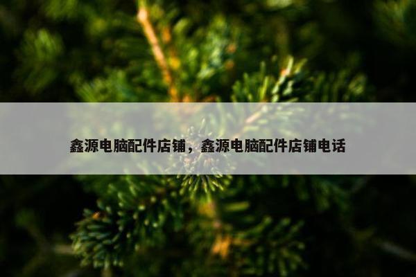 鑫源电脑配件店铺，鑫源电脑配件店铺电话