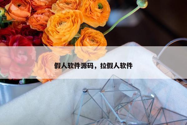 假人软件源码，拉假人软件