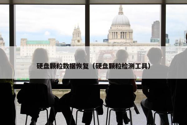 硬盘颗粒数据恢复（硬盘颗粒检测工具）