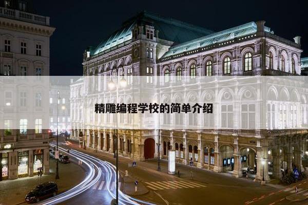 精雕编程学校的简单介绍