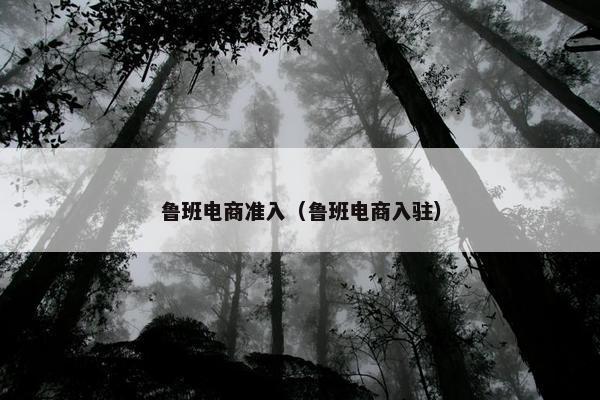 鲁班电商准入（鲁班电商入驻）