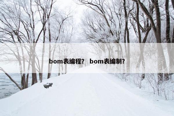 bom表编程？ bom表编制？