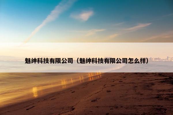 魅绅科技有限公司（魅绅科技有限公司怎么样）