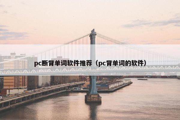 pc断背单词软件推荐（pc背单词的软件）