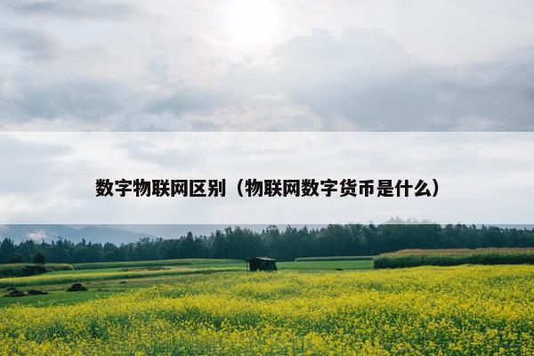 数字物联网区别（物联网数字货币是什么）