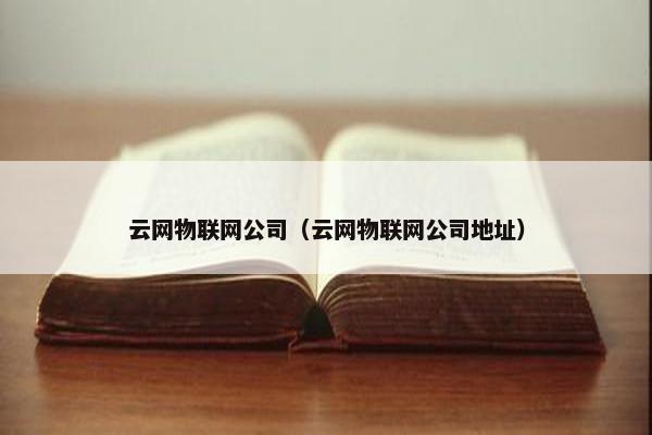 云网物联网公司（云网物联网公司地址）