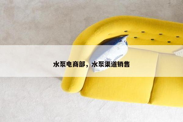 水泵电商部，水泵渠道销售