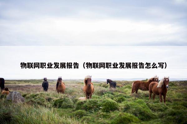 物联网职业发展报告（物联网职业发展报告怎么写）