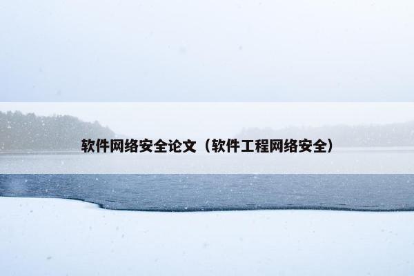软件网络安全论文（软件工程网络安全）