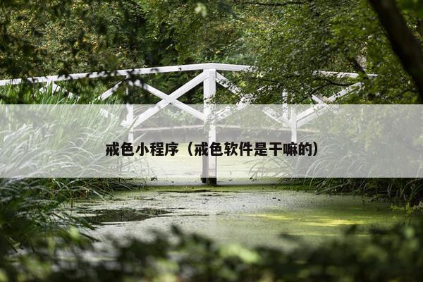 戒色小程序（戒色软件是干嘛的）