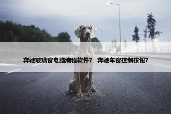 奔驰玻璃窗电脑编程软件？ 奔驰车窗控制按钮？