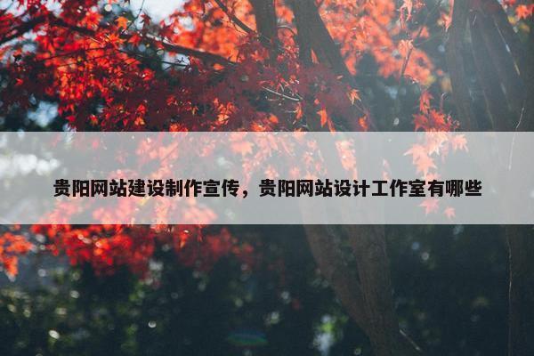 贵阳网站建设制作宣传，贵阳网站设计工作室有哪些