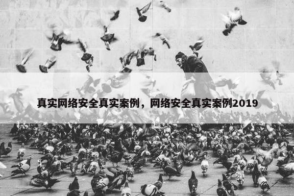 真实网络安全真实案例，网络安全真实案例2019