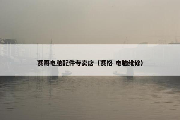 赛哥电脑配件专卖店（赛格 电脑维修）