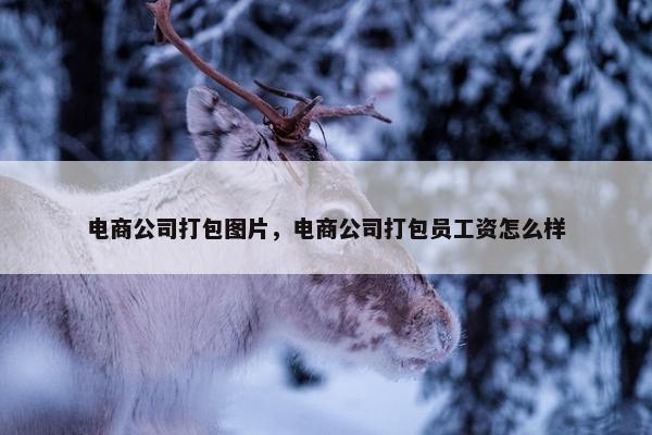 电商公司打包图片，电商公司打包员工资怎么样