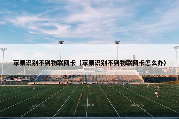 苹果识别不到物联网卡（苹果识别不到物联网卡怎么办）