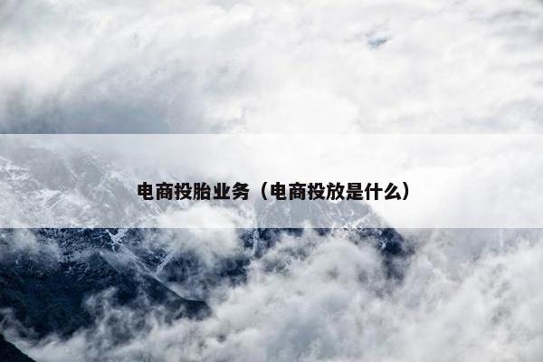 电商投胎业务（电商投放是什么）