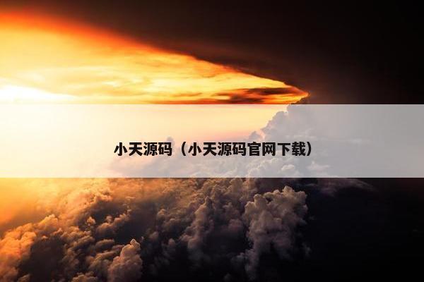 小天源码（小天源码官网下载）
