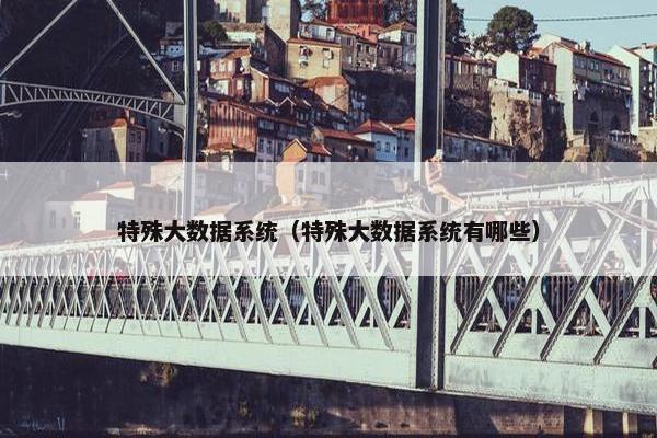特殊大数据系统（特殊大数据系统有哪些）