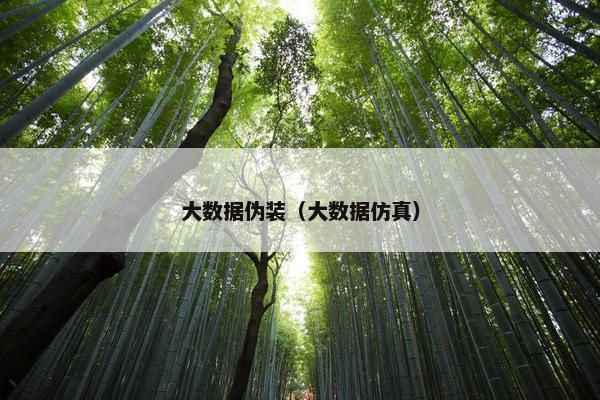 大数据伪装（大数据仿真）