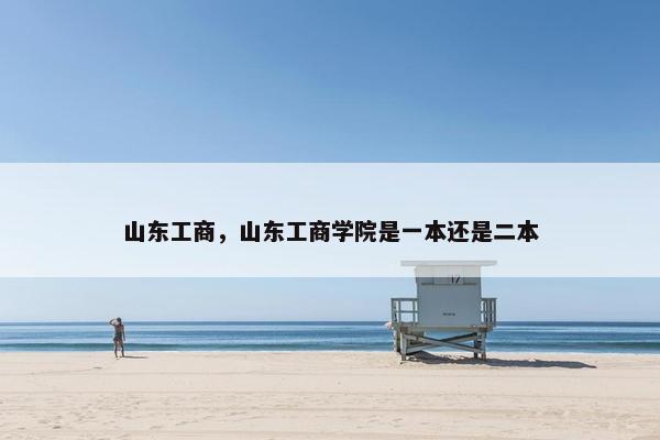 山东工商，山东工商学院是一本还是二本
