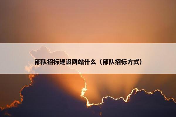 部队招标建设网站什么（部队招标方式）