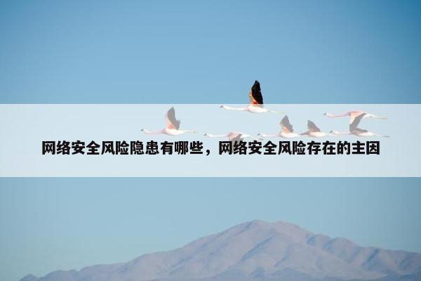 网络安全风险隐患有哪些，网络安全风险存在的主因