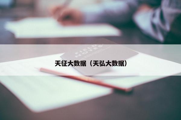 天征大数据（天弘大数据）