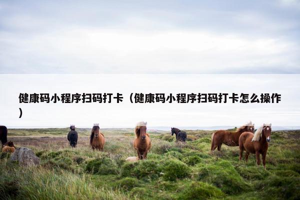 健康码小程序扫码打卡(健康码小程序扫码打卡怎么操作) 健康码小程序扫码打卡(健康码小程序扫码打卡怎么操作)