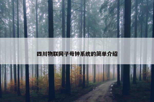 四川物联网子母钟系统的简单介绍