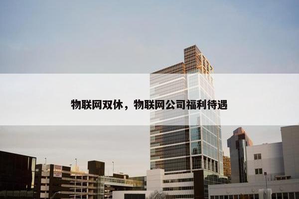 物联网双休，物联网公司福利待遇