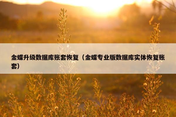 金蝶升级数据库账套恢复（金蝶专业版数据库实体恢复账套）