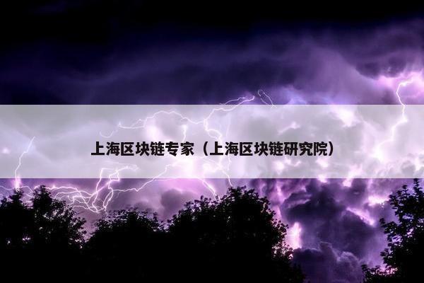 上海区块链专家（上海区块链研究院）
