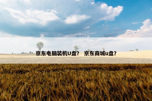 京东电脑装机U盘？ 京东商城u盘？